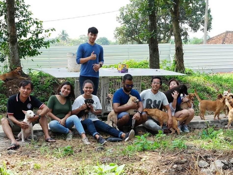 Kegiatan anggota Jakarta Dog Lovers beserta para anjingnya